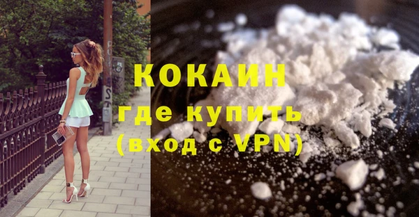 PSILOCYBIN Волосово