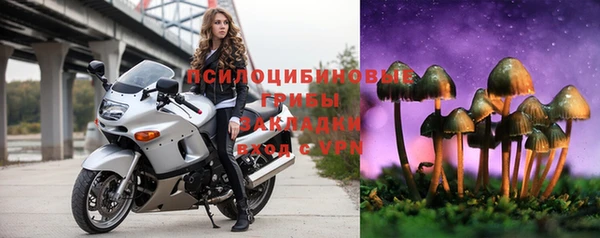 PSILOCYBIN Волосово