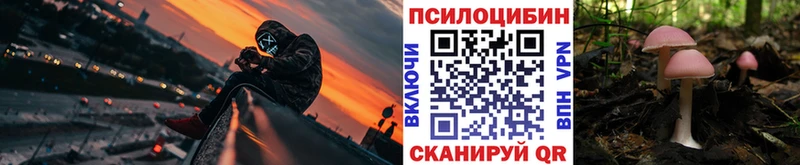 гидра ТОР  где можно купить наркотик  Всеволожск  Галлюциногенные грибы мухоморы 
